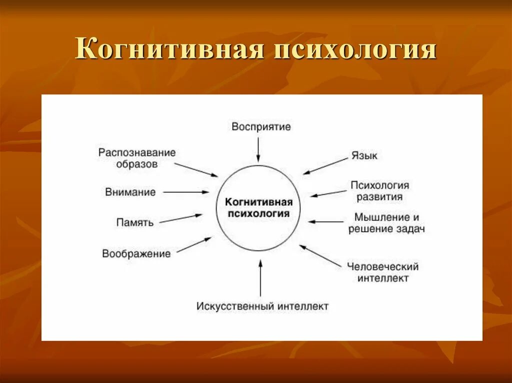 Когнитивная психология. Когнитивная психология это в психологии. Когнитивная психология внимания. Когнитивная психология основные понятия. Основные центры внимания