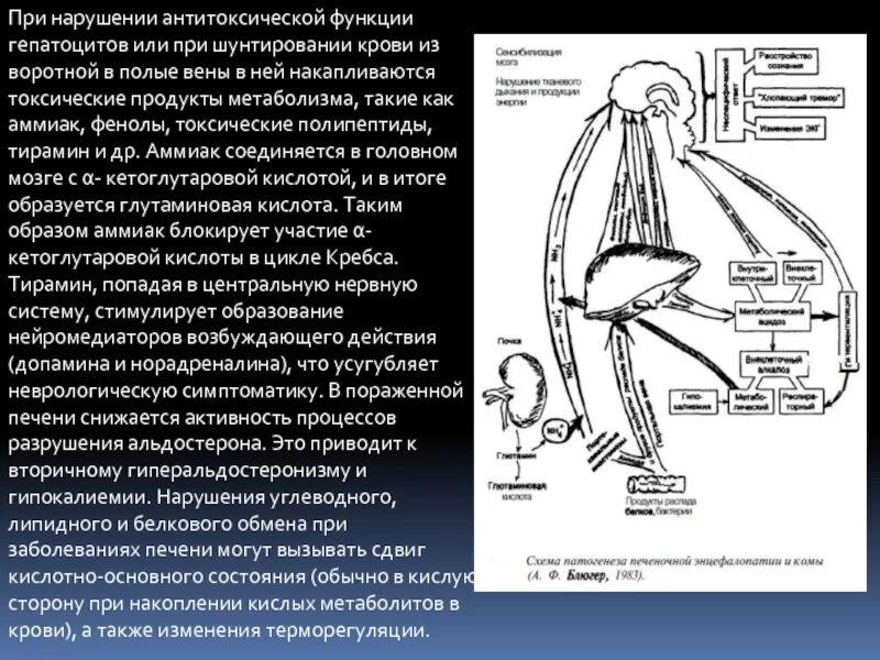 Нарушение антитоксической функции печени. Антитоксическая функция печени. Антитоксическая антитоксическая функция печени. Снижение антитоксической функции печени.