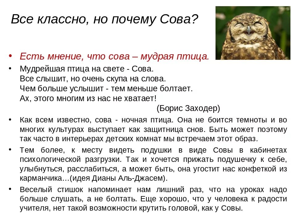 Некоторые ученые считают что совы видят