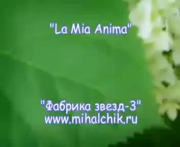 Здравствуй питер михальчик