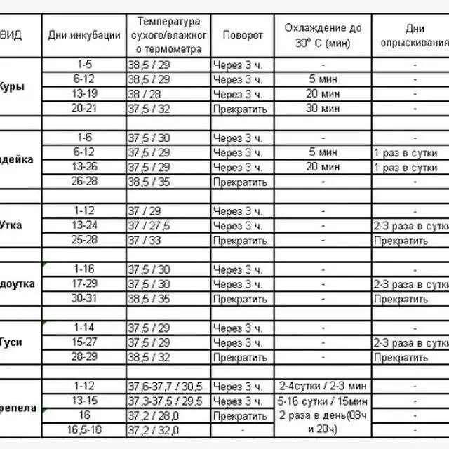 Инкубация индюшиных яиц в инкубаторе несушка. Таблица температуры вывода яиц в инкубаторе. Таблица температур в инкубаторе для куриных яиц таблица. Инкубация куриных яиц таблица температура. Таблица выпаривания яиц в инкубаторе куриных.