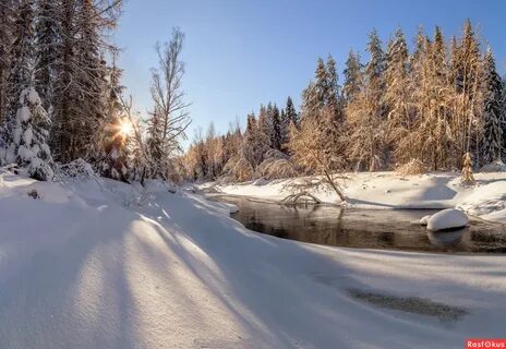 Февральский пейзаж