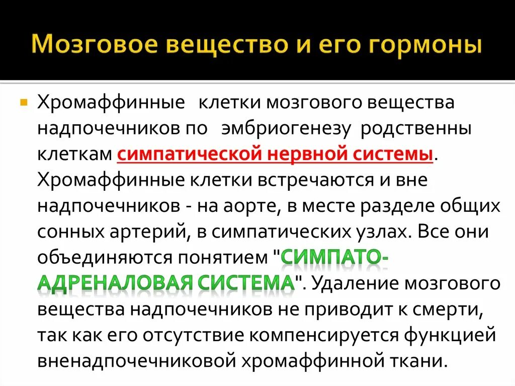 Строение мозгового вещества надпочечников гистология. Хромаффинные клетки мозгового вещества надпочечников. Мозговой слой. Зоны мозгового вещества надпочечников. Хромаффинные клетки мозгового вещества надпочечников.