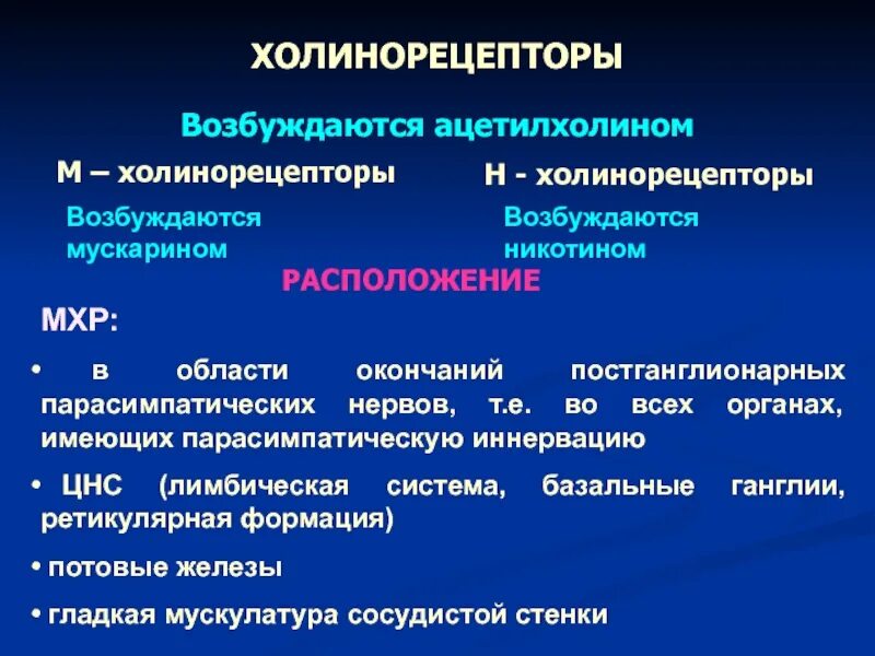 Локализация холинорецепторов. Холинорецепторы. Типы холинорецепторов. Н холинорецепторы. М холинорецепторы и н холинорецепторы разница.