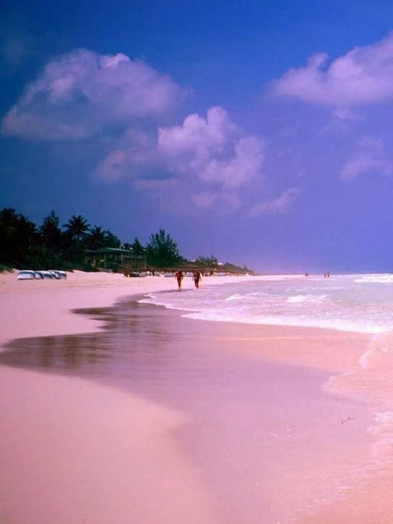 Harbor island. Pink Sands Beach Багамские острова. Розовый пляж Пинк Сэнд Бич, Багамские острова. Розовый пляж. Остров Харбор, Багамы. Пляж Пинк-Сэнд-Бич, Харбор, Багамские острова.