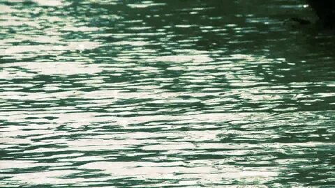 Вода мп3