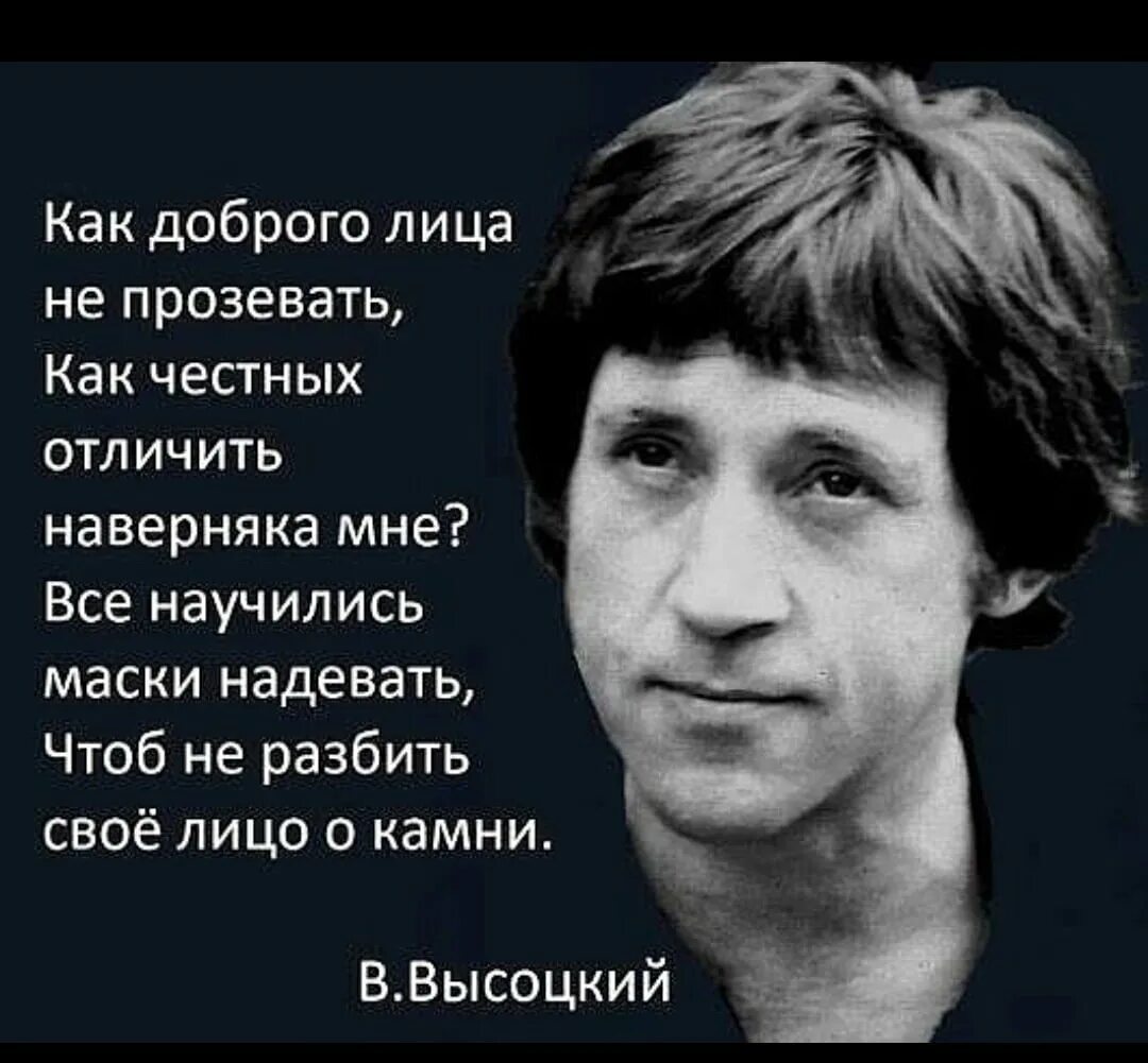 Цитаты о высоцком