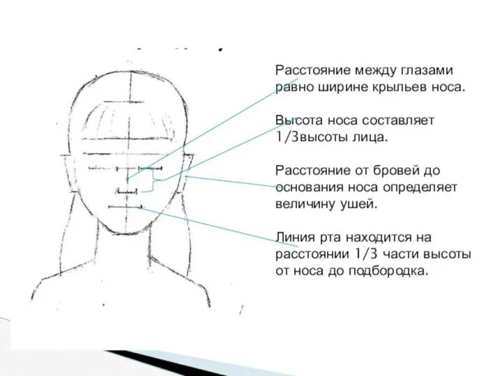 Женское лицо по золотому сечению. Между глаз это как. Типы глаз и макияж. Схема макияжа для нависшего века рисунок. Формы глаз схема.