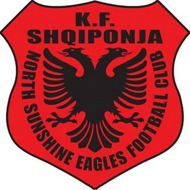 Eagle fc одежда. Старый логотип kingston. Кингстон сити норт саншайн иглс. Кингстон сити норт саншайн иглс. Buriram united.