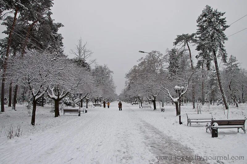 Нальчик погода на месяц март 2024 год. Атажукинский парк Нальчик зима. Нальчик Долинск зима. Атажукинский парк зимой. Долинск Нальчик парк зима.