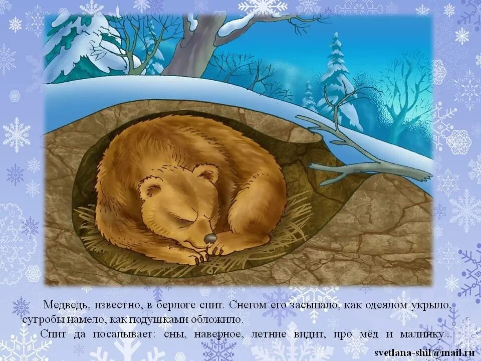 День поиска Норы спящего лета. День поиска Норы спящего лета 26 февраля. Спящий медведь. День поиска Норы спящего лета открытки.