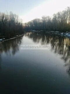 Уровень реки алей рубцовск