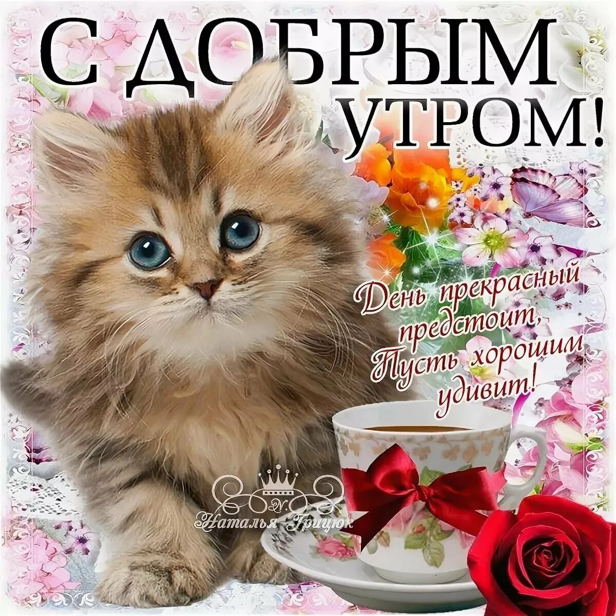 Доброе утро с пожеланиями картинки животных. С добрым утром. открытки доброе утро. пожелания с добрым утром с кошками. открытки с добрым утром с котиками.