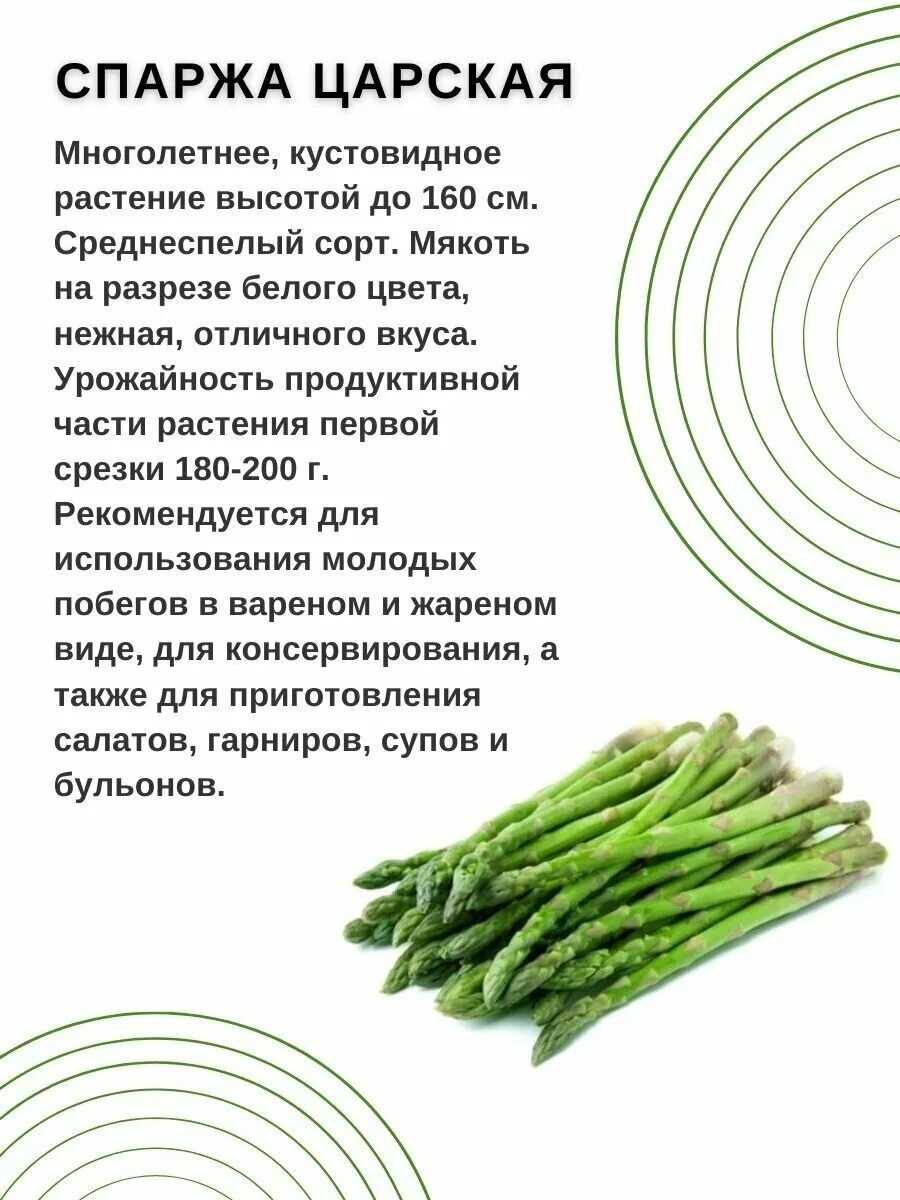 спаржа царская аэлита. семена спаржа царская. спаржа царская 0,5г лидер аэлита. спаржа царская. спаржа королевская.