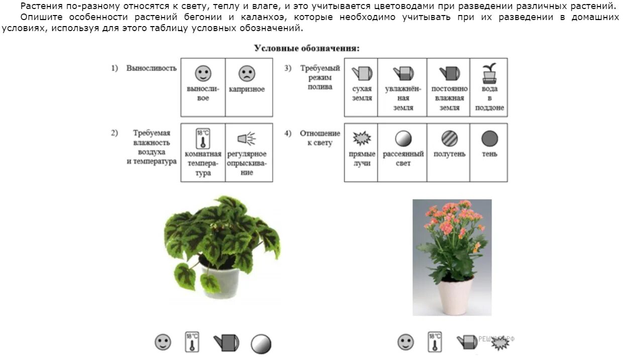 Обозначения по уходу за растениями. Комнатные растения таблица. Таблица ухода за растениями. Обозначения для цветов в горшках. Опишите особенности растений каланхоэ и аспарагуса