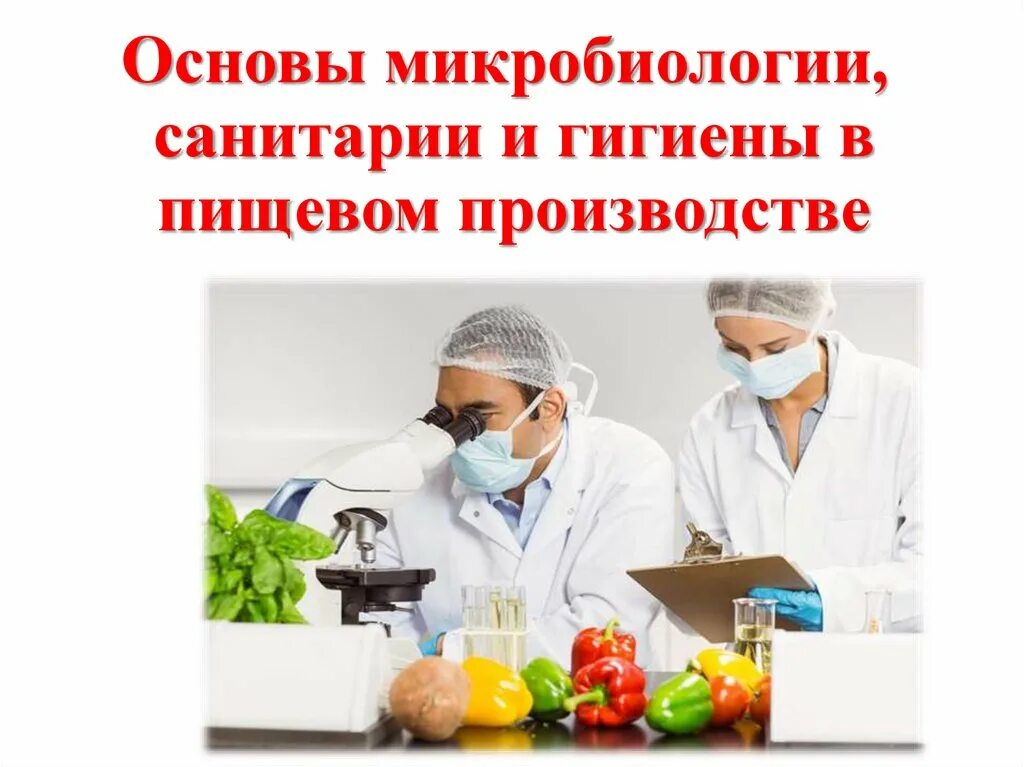 Основы пищевого производства