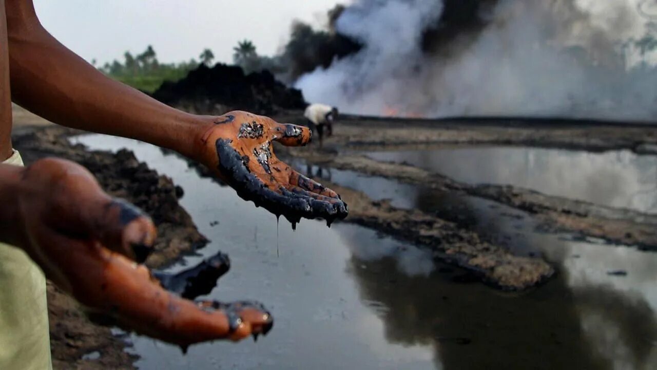 Загрязнение окружающей среды нефтью. Загрязнение нефтью человек. Последствия загрязнения воды нефтью. Последствия загрязнения окружающей среды.