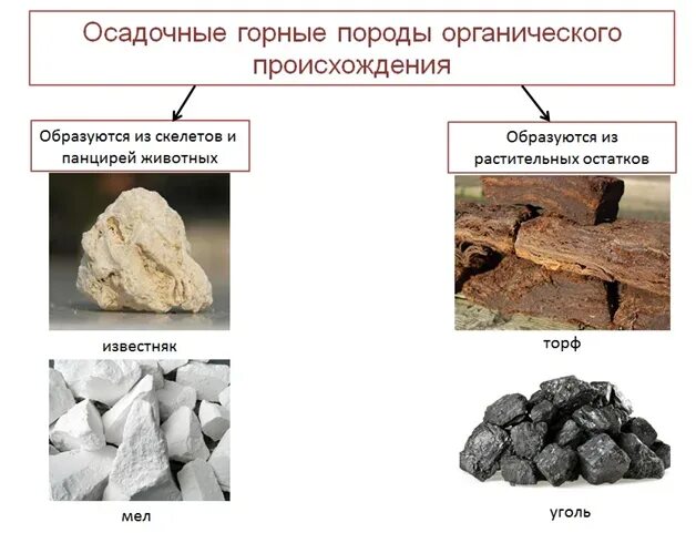 Нефть относится к осадочным горным породам. Магматические и осадочные горные породы. Осадочные горные породы обломочные глинистые хемогенные. Мергель осадочные горные породы. Неорганические осадочные горные породы.