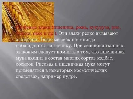 Аллергия на пшеницу