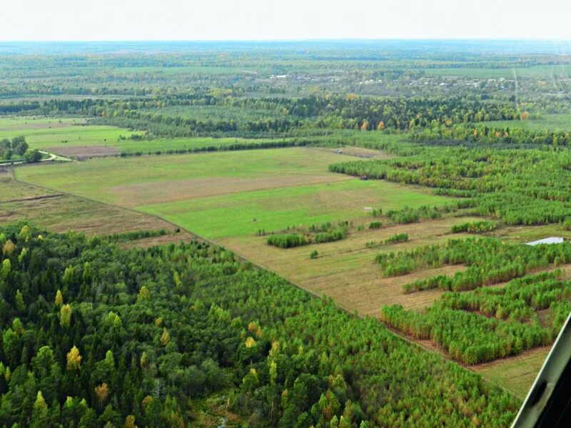 Площадь 100 гектар. 100 гектар земли участок. Участок 100 гектар. Село лосиная лука петровского района тамбовской области. 400 гектаров земли.