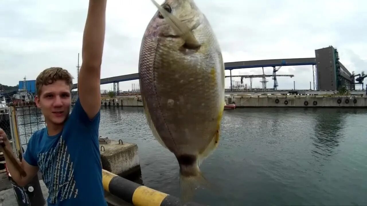 Рыбы чёрного моря Туапсе. Самая большая рыба в черном море. Рыба которую ловят в черном море. Черноморская рыбалка Сочи. Что ловят на берегу черного моря