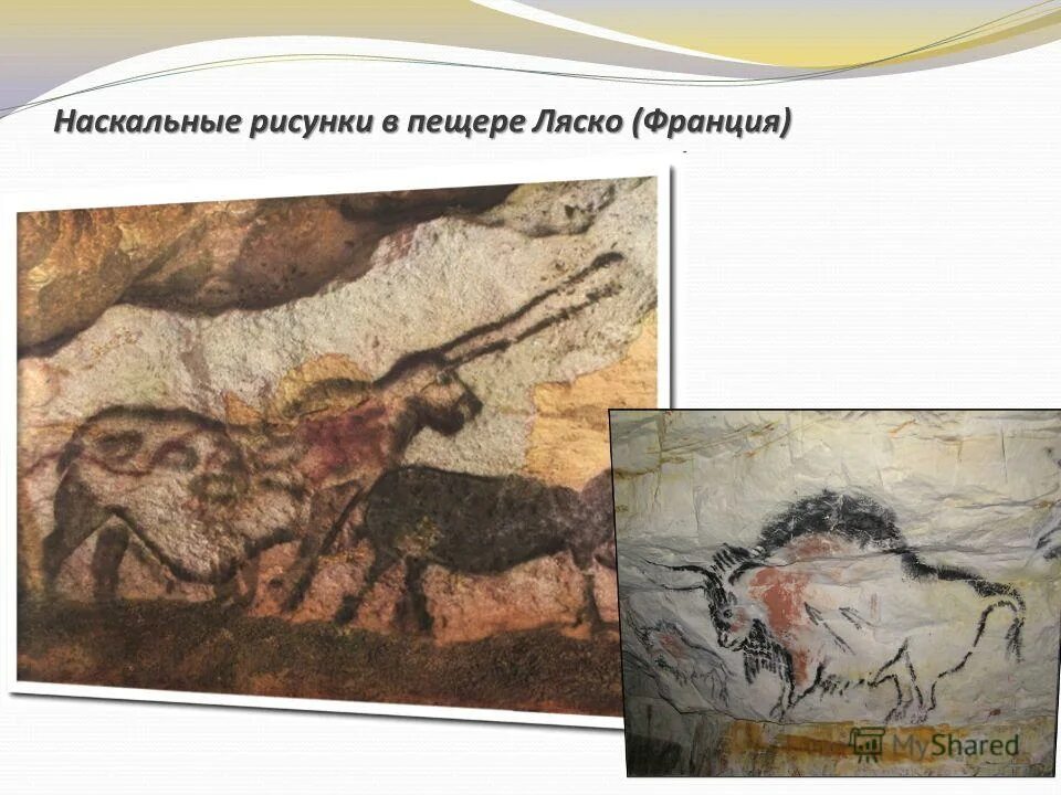 пещера ласко зал быков. э. франция. капова пещера петроглифы. пещера шове.