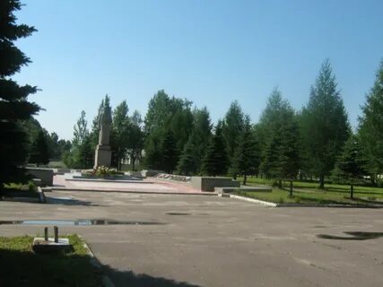 Ели новокуйбышевск