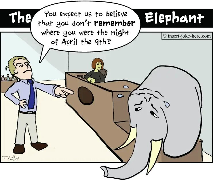 The Elephant jokes примеры. Картинки the Elephant jokes. The Elephan jokes. Memory jokes.