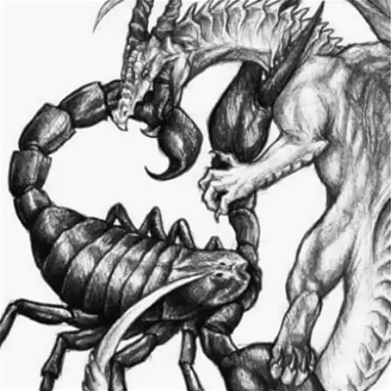 Скорпион дракон совместимость. Дракон Скорпион. Дракон Скорпион женщина. Скорпион дракон мужчина. Дракон с Скорпион человек.
