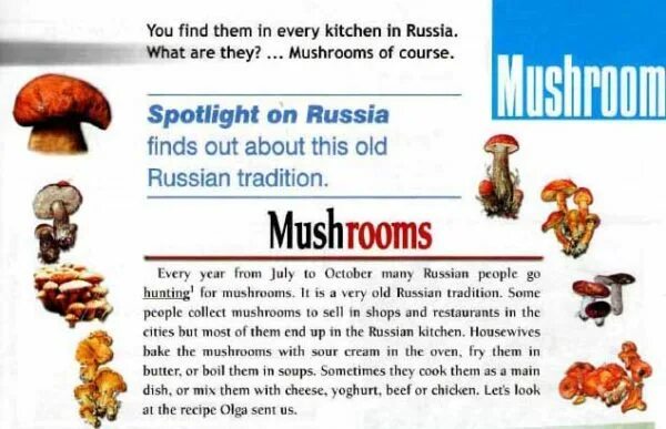 Спотлайт он раша 7 класс. Spotlight on Russia. Spotlight on Russia at School 5 класс. Spotlight of Russia 5 класс. Спотлайт он раша.