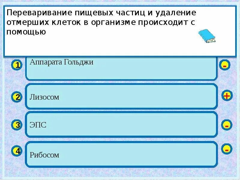 Переваривание пищевых частиц происходит в