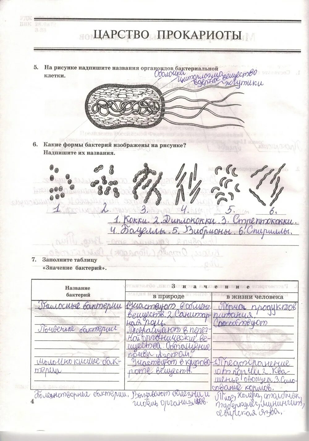 Проверка тетрадей по биологии. Бактерии 7 класс биология. Биология 7 класс рабочая тетрадь царство бактерии.