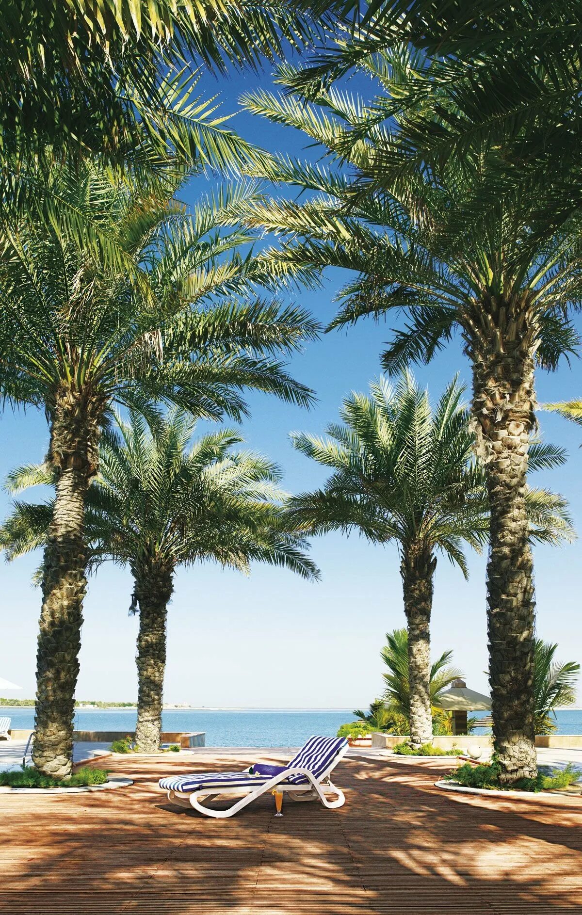 Al raha beach abu. Аль раха бич отель. al raha beach абу-даби. отель al raha beach hotel оаэ абу-даби. goldent tower al raha beach channel street.