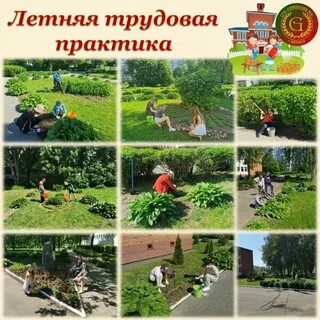 Школа трудовых практик