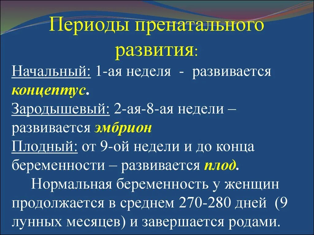 Пренатальная психология. Пренатальный период развития это. Пренатальный период периодизация. Периодизация пренатального периода развития. Особенности пренатального периода.