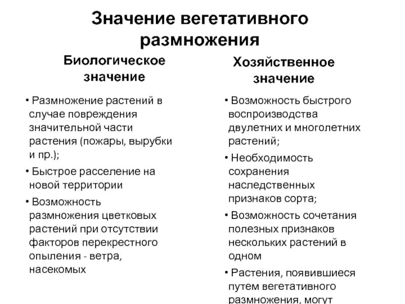 Хозяйственное значение вегетативного размножения. Значение вегетативного размножения растений. Биологическое и хозяйственное значение вегетативного размножения. Биологическое значение вегетативного размножения растений.