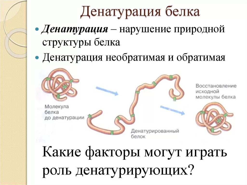 Процессы денатурации белков