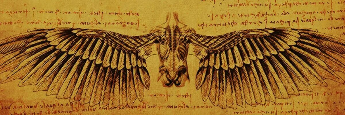 Леонардо да винчи колибри. Наброски полёта птиц леонардо да винчи. Кодекс о полёте птиц леонардо да винчи книга. Птицы да винчи. Наброски леонардо давинчи.