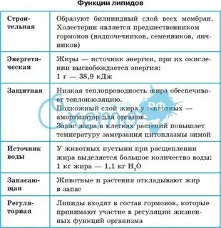 Функция жиров таблица