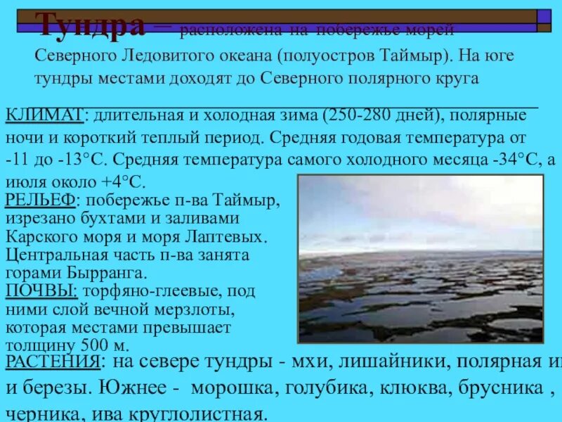 Случилось это весной на таймыре основная мысль. Полуостров Таймыр описание. Таймырский заповедник в тундре. Полуостров Таймыр климат. Тундры на полуострове Таймыр.