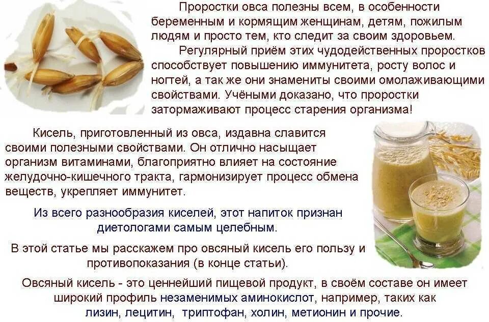 Чем полезен овсяный кисель. Чем полезен овес. Полезен ли овсяный кисель. Овсяный кисель рецепт приготовления.