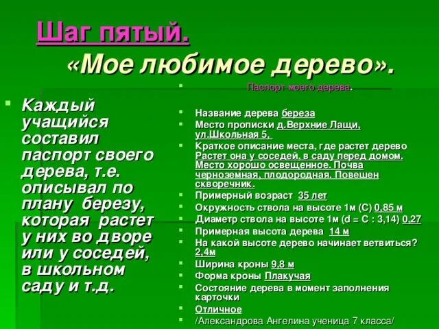 Проект про березу 3 класс Презентация на тему: "Берёза Проект на тему "Растение" Валерия Логинова ученица