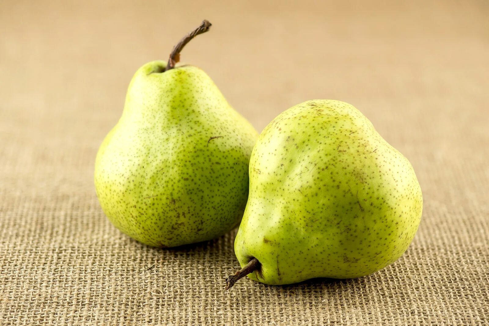 Pear 6. Сорт груши Пакхам. Груши Пакхам Вильямс. Груши Пакхам Аргентина. Груши Аргентина сорта.