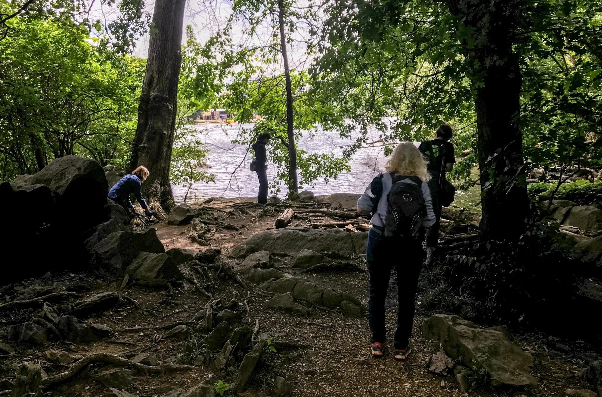 Be close to nature. Forest Bathing. Ретрит в лесу. Forest Bathing (Shinrin-Yoku). 4.2 Forest Bathing Oxford.