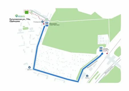 Арсвита кутузовская
