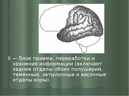 Блок приема