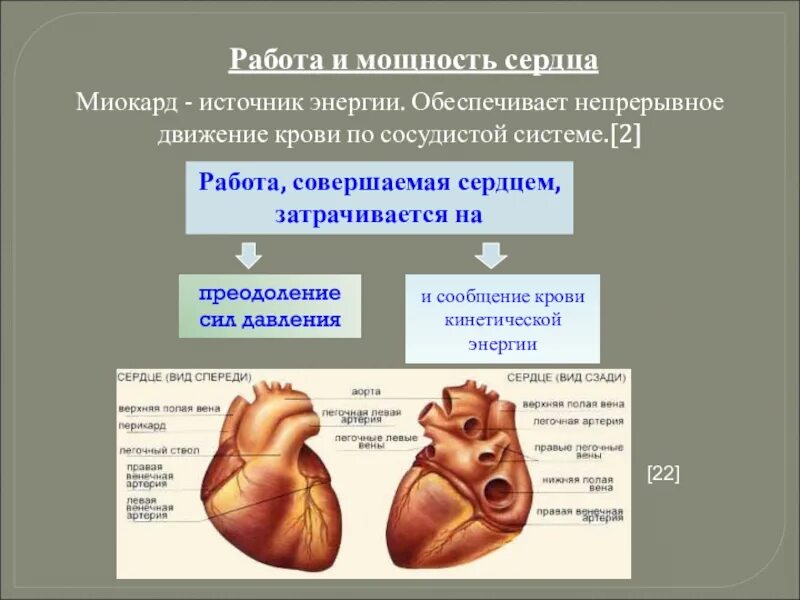 Какая мощность сердца. Работа и мощность сердца. Работа сердца формула. Работа сердца формула физика. Механическая работа и мощность сердца.