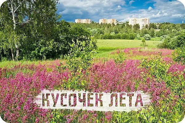 Кусочек лета. Кусочек лета для вас. Дарю кусочек лета. Кусочек лета для тебя. Лето в кайфограде