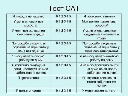 Тест сат