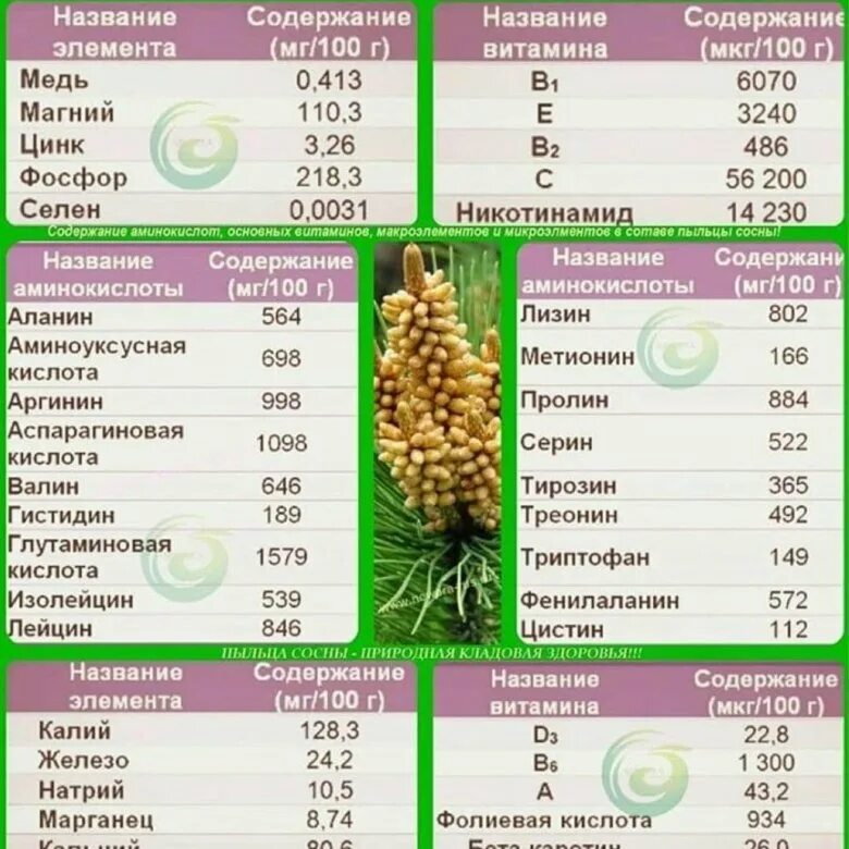 Сосновая пыльца состав. Состав сосновой пыльцы новая Эра. Химический состав пыльцы сосны. Витамины в пыльце сосны. Пыльца витамины